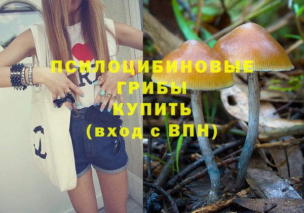 прущие крисы Новозыбков