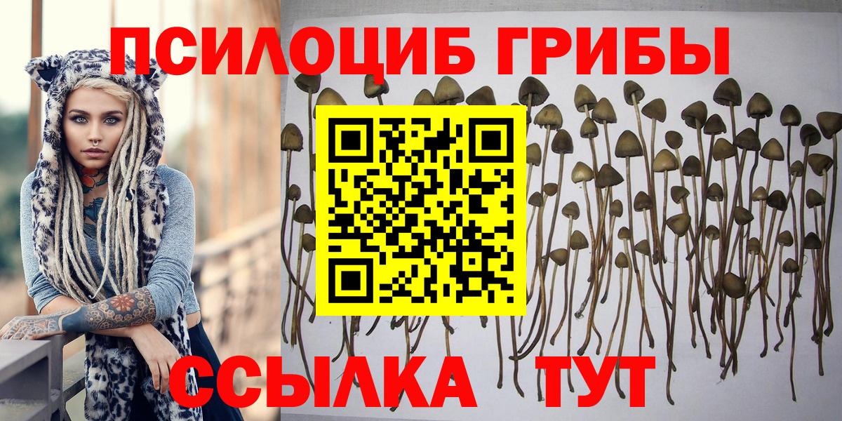 Псилоцибиновые грибы прущие грибы  Вход с VPN  Галлюциногенные грибы мухоморы  Кольчугино 